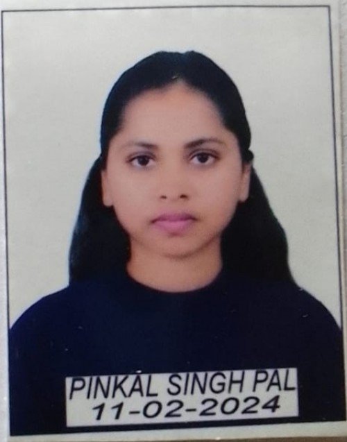 Pinkal Singh Pal All Academic Subjects home tutor in Prayagraj.